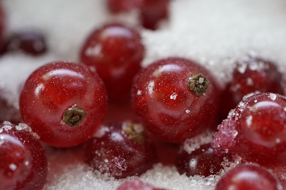 The Science of Taste: How Our Palate Shapes Our Diet